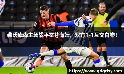 勒沃库森主场战平霍芬海姆，双方1-1互交白卷！